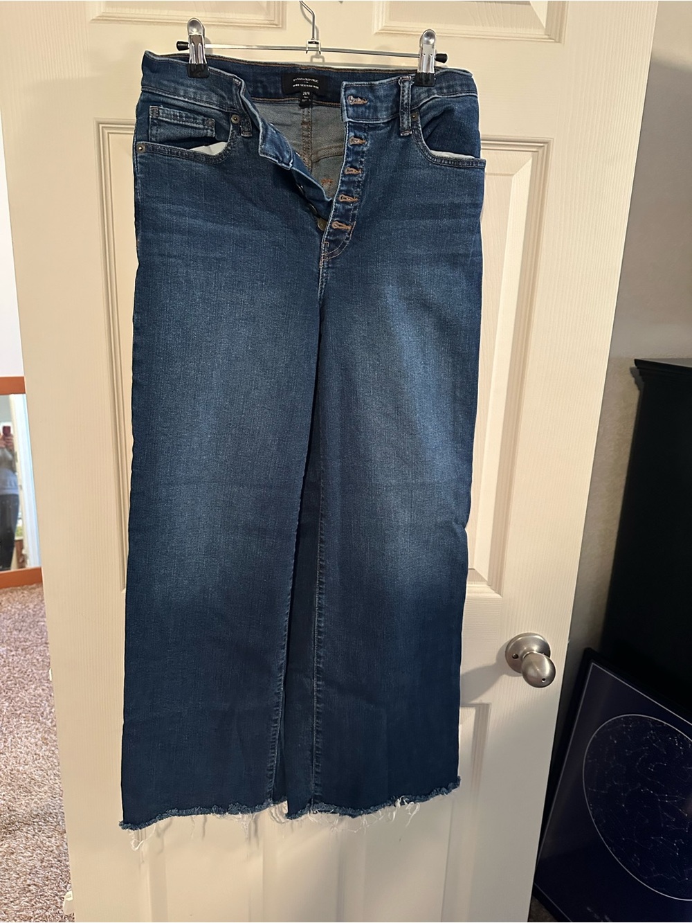Banana Republic Dark Blue Wide-Leg Button-Fly Cropped Jeans